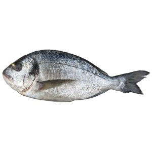 Dorada