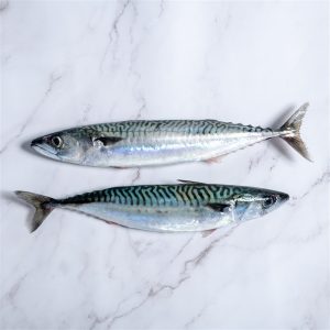 Caballa fresca a domicilio
