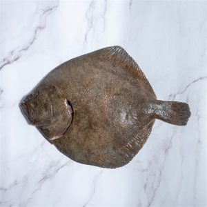 Rodaballo salvaje a domicilio