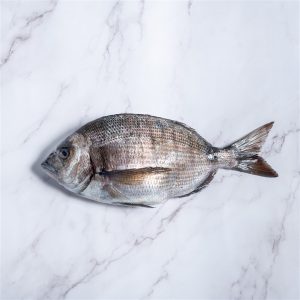 Sargo fresco a domicilio