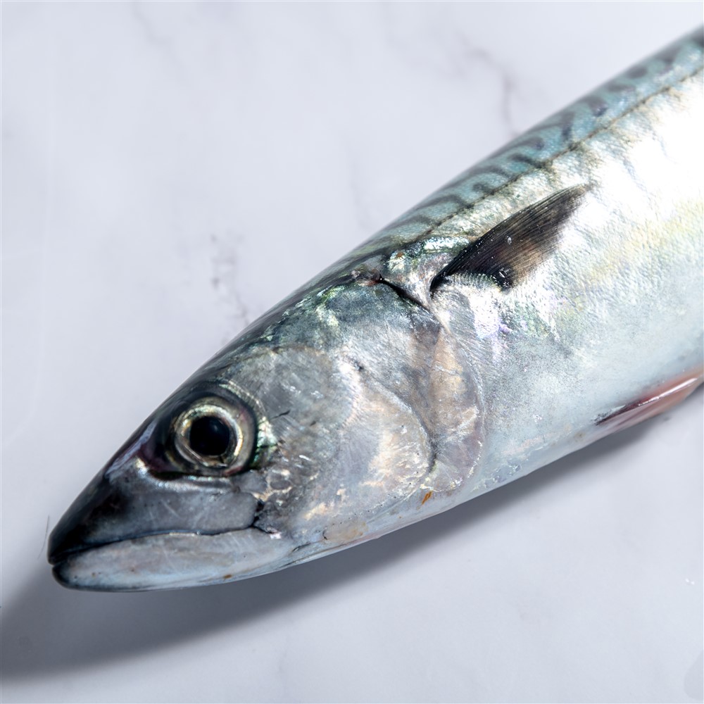 ojos de un pescado fresco ojos de un pescado fresco