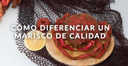 como-diferenciar-un-marisco-de-calidad