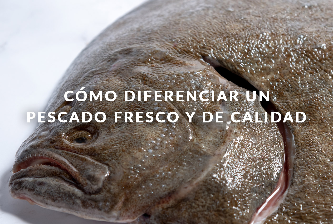 Cómo diferenciar un pescado fresco y de calidad