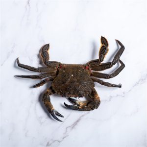 necoras de la ría a domicilio