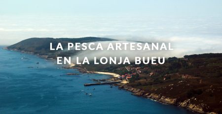 la-pesca-artesanal-en-la-lonja-de-bueu-rias-baixas