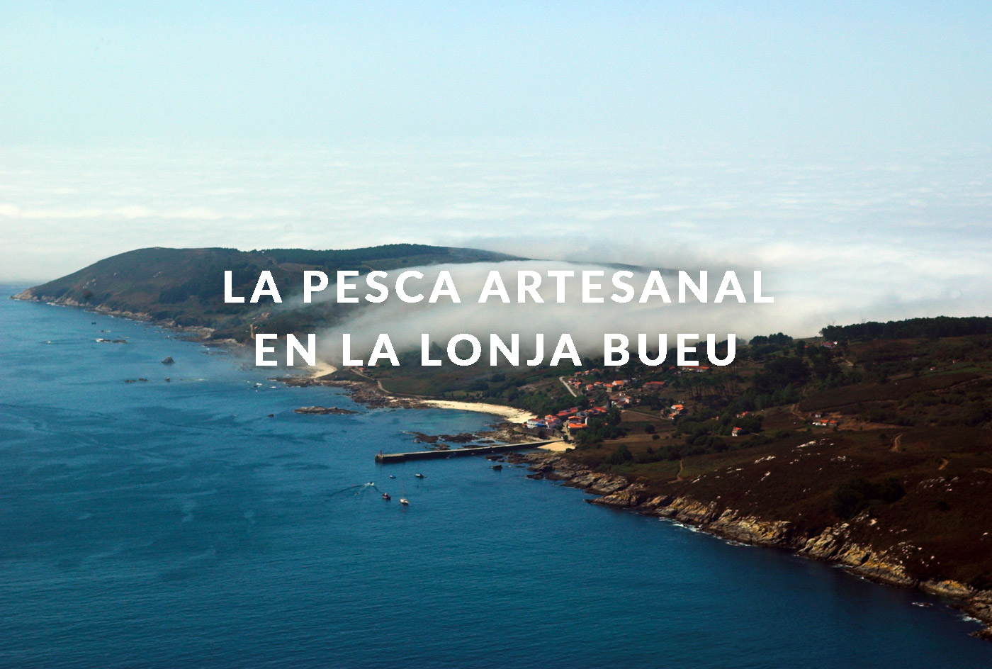la-pesca-artesanal-en-la-lonja-de-bueu-rias-baixas